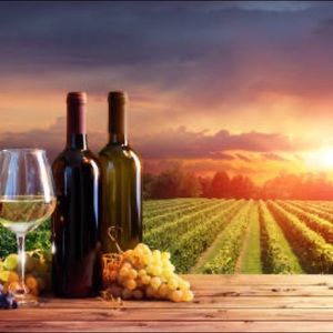 Meet your Posher, Day